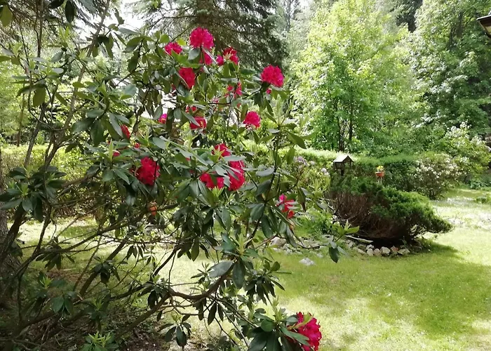 منزل للإقامة Kuklik